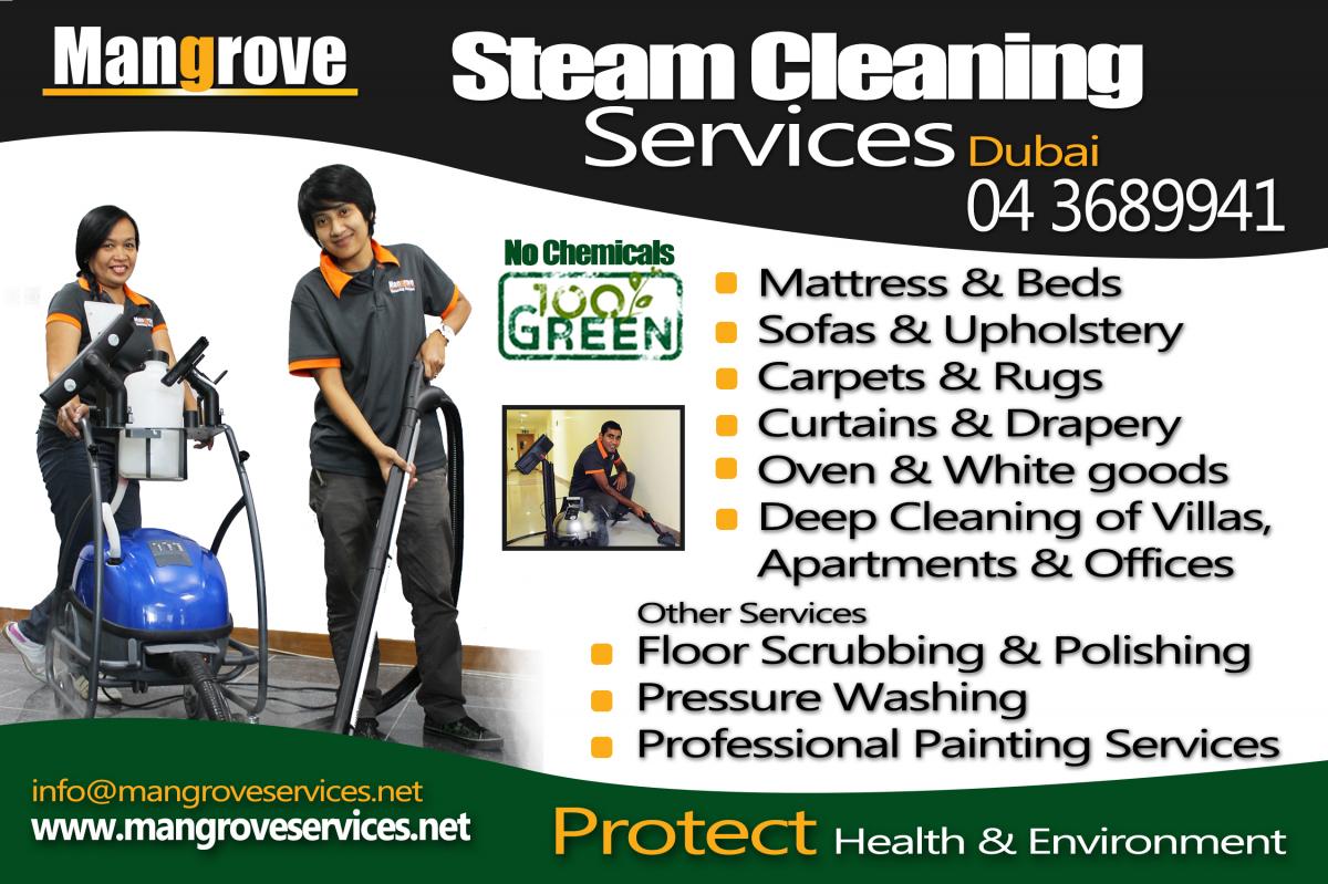 steam cleaning services