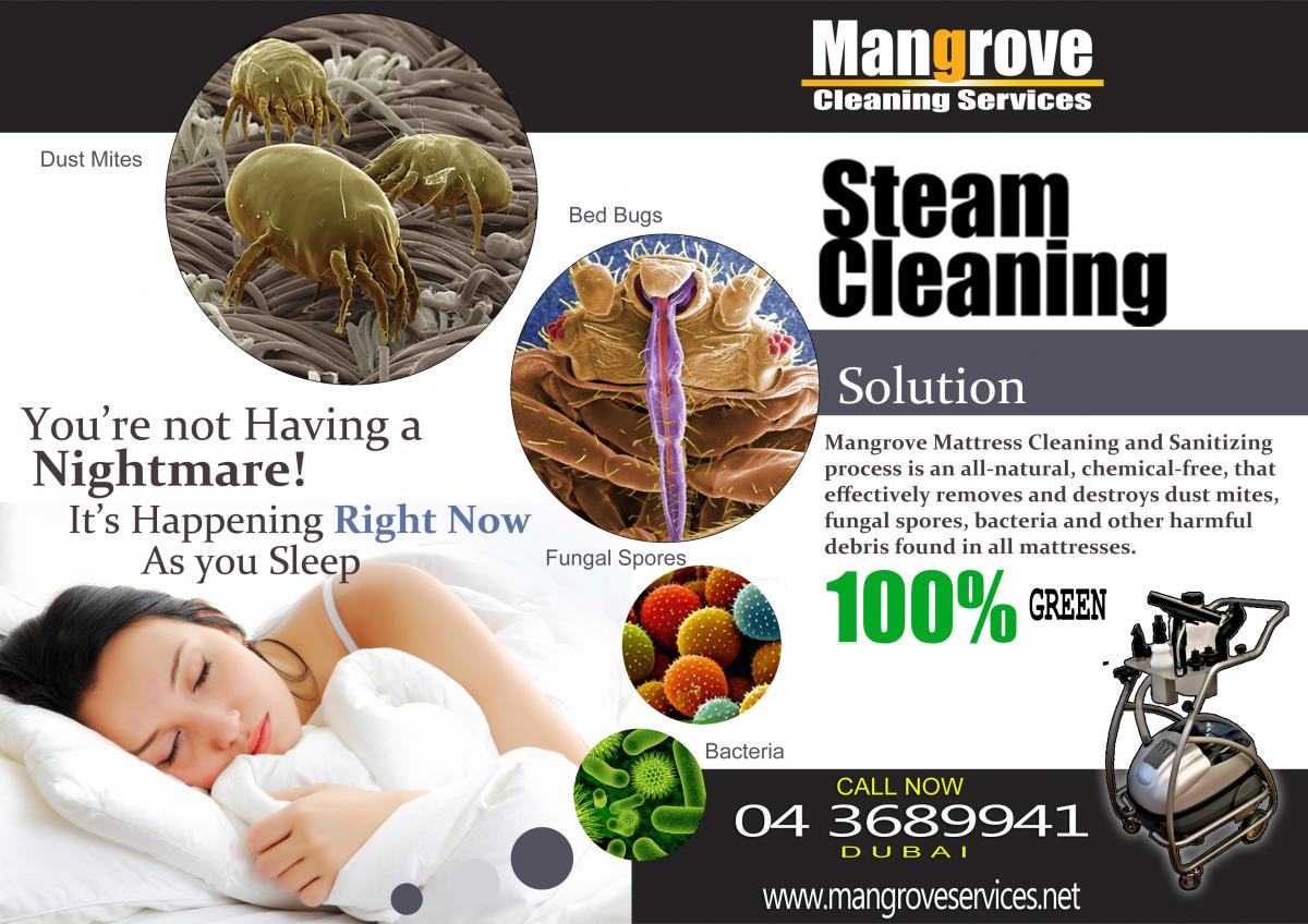 Hotel Mattresses & Steam Cleaning