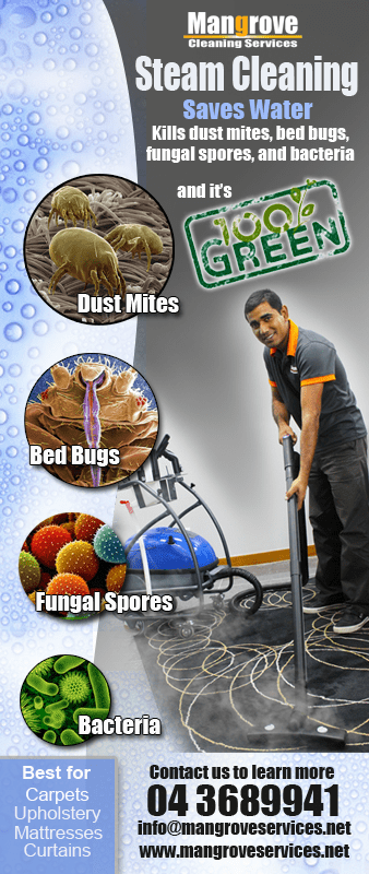 Deep Cleaning of your House