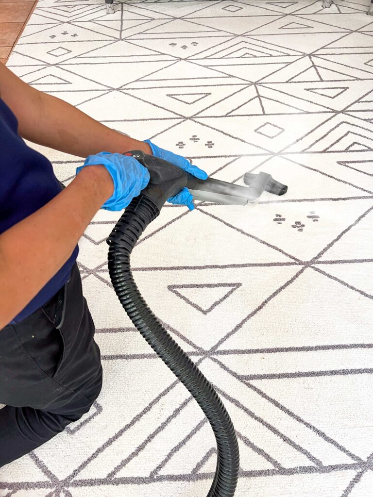 Dubai Carpet Steam cleaning in progress