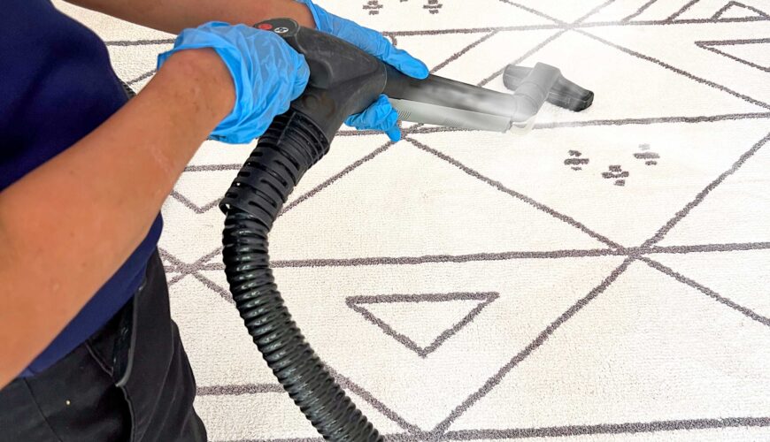 Dubai Carpet Steam cleaning in progress