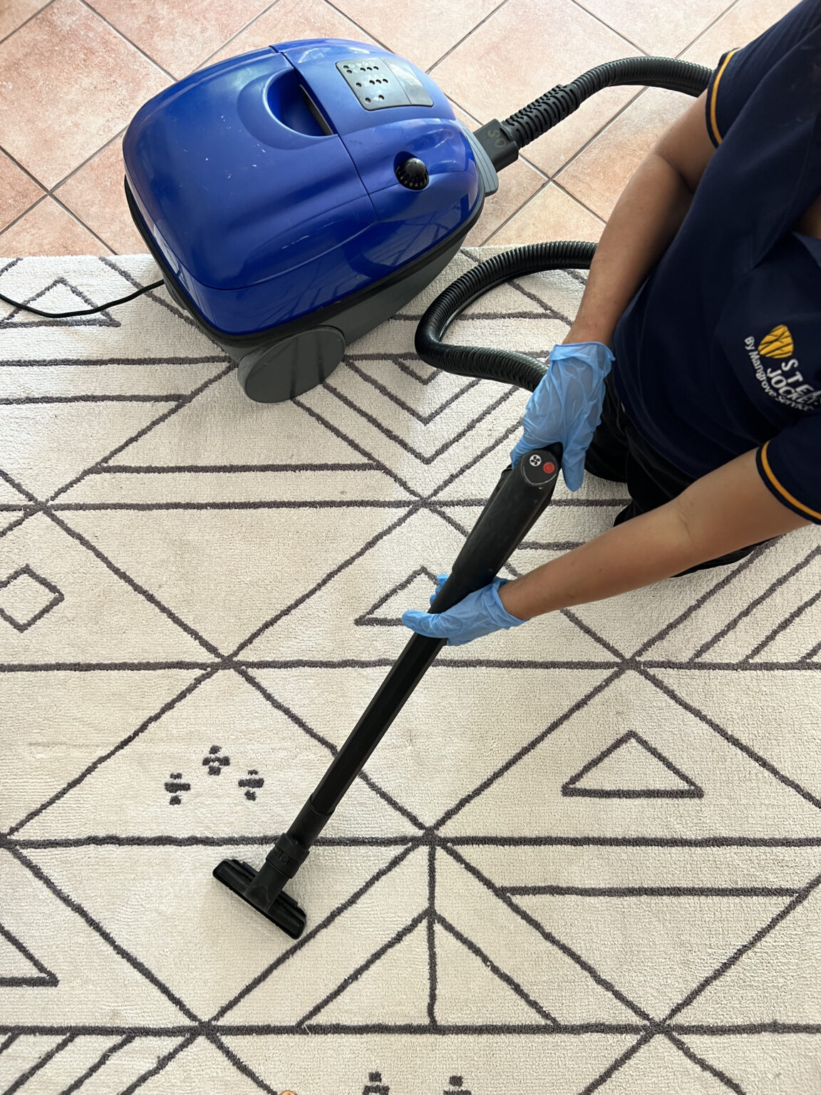 [SUGGESTED IMAGE: Before and after comparison showing professional cleaning results on a carpet and curtain, demonstrating quality outcomes achievable with both service types]