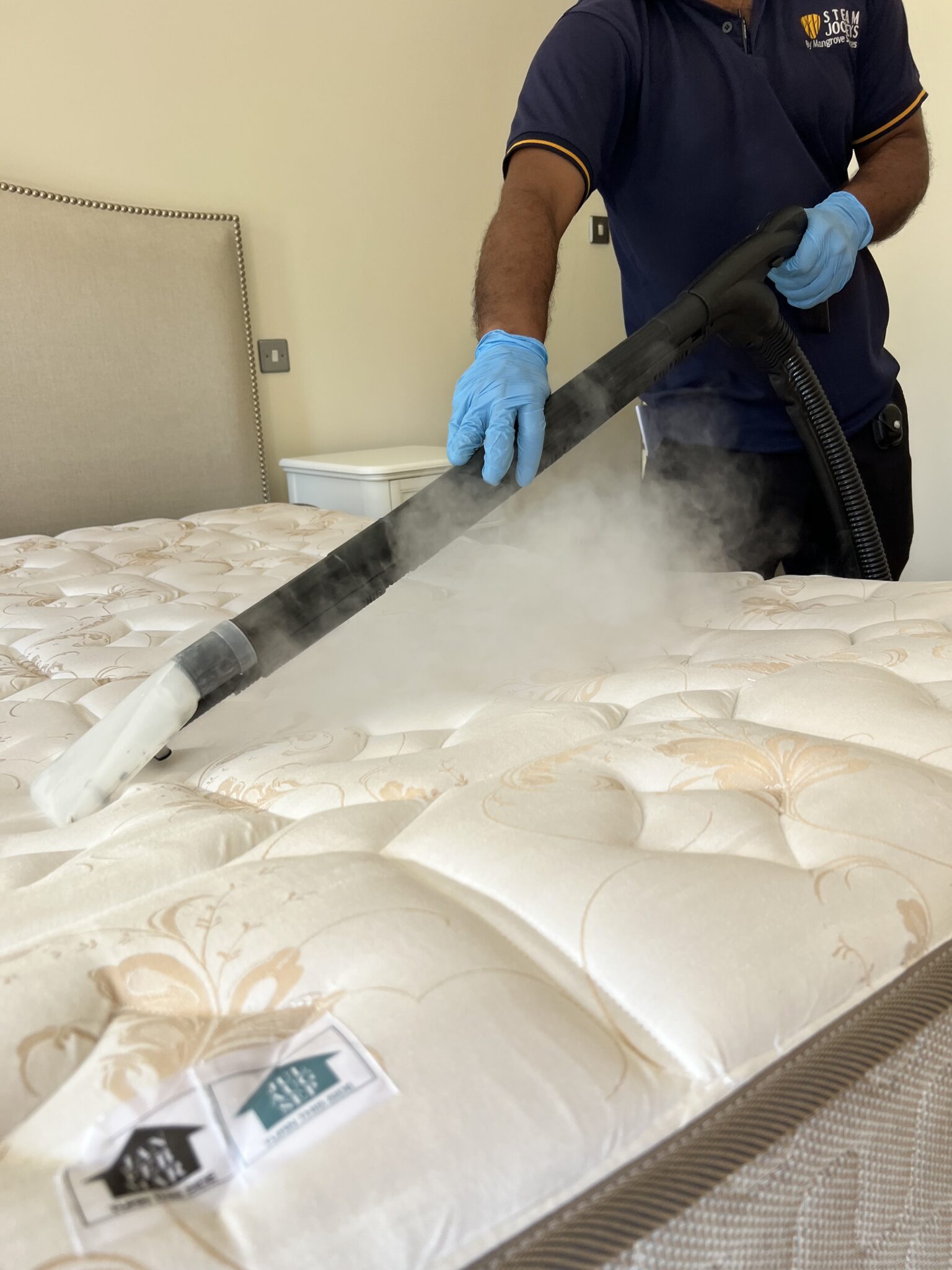 Why Should You Steam Clean Your Mattress Mangrove Services